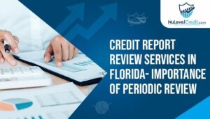 Read more about the article Credit Report Review Services- Importance of Periodic Review